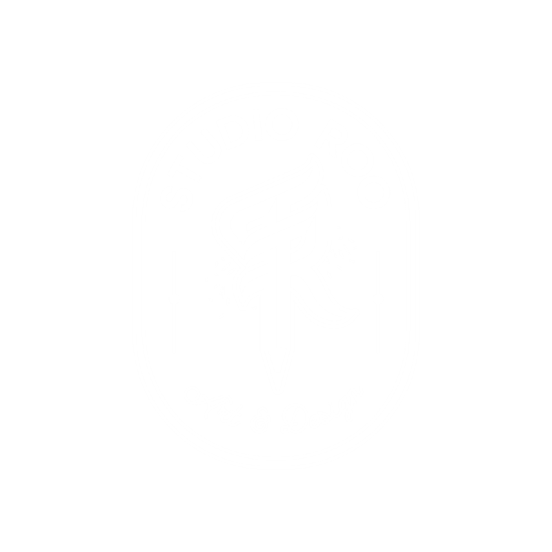 Studio Roo badge